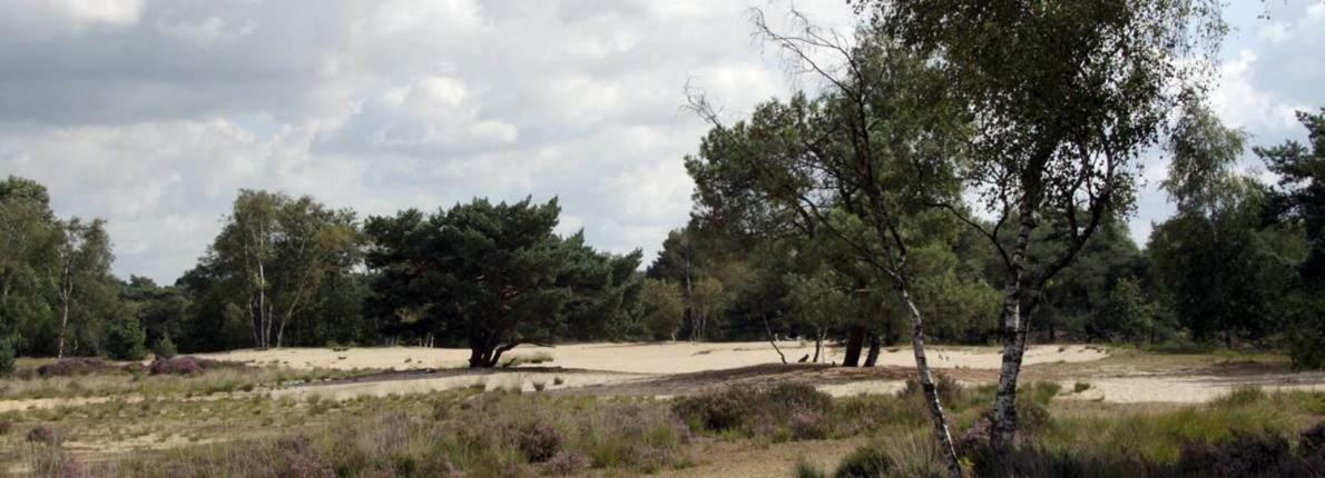 Villa Berk En Heide Rosmalen Exterior photo